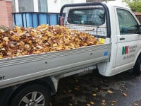 Krattade löv på lastflak