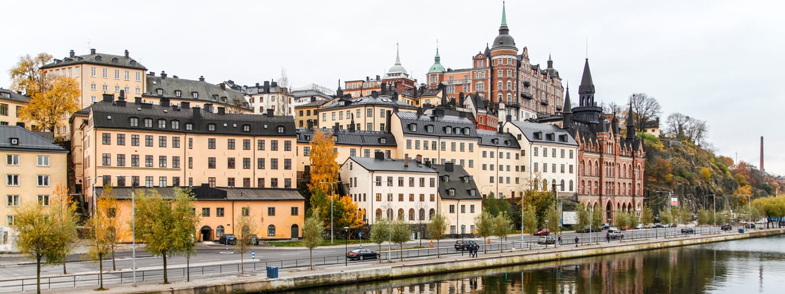 Trädbeskärning Södermalm