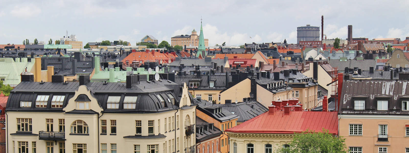 Trädgårdsdesign Vasastan , Arborist Åkersberga,Trädbeskärning Vasastan