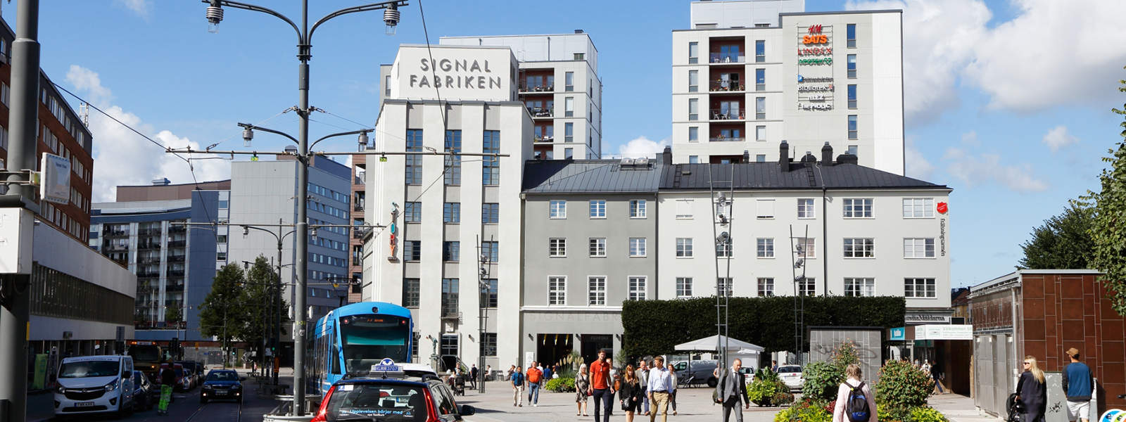 Arborist Sundbyberg