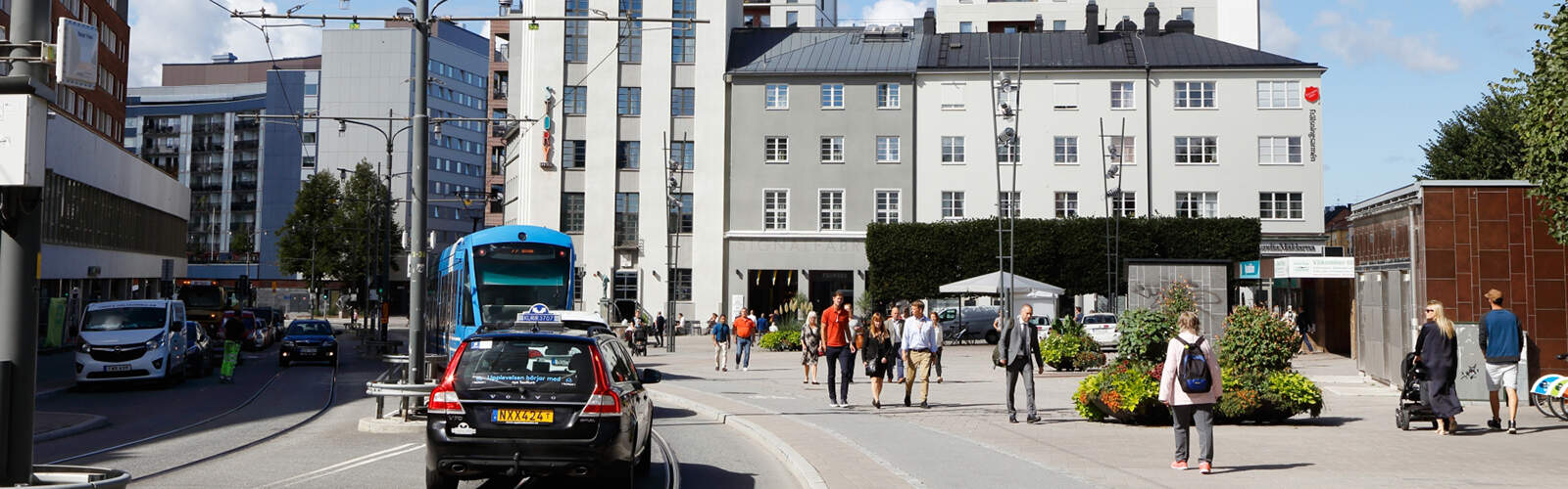 Trädbeskärning Sundbyberg