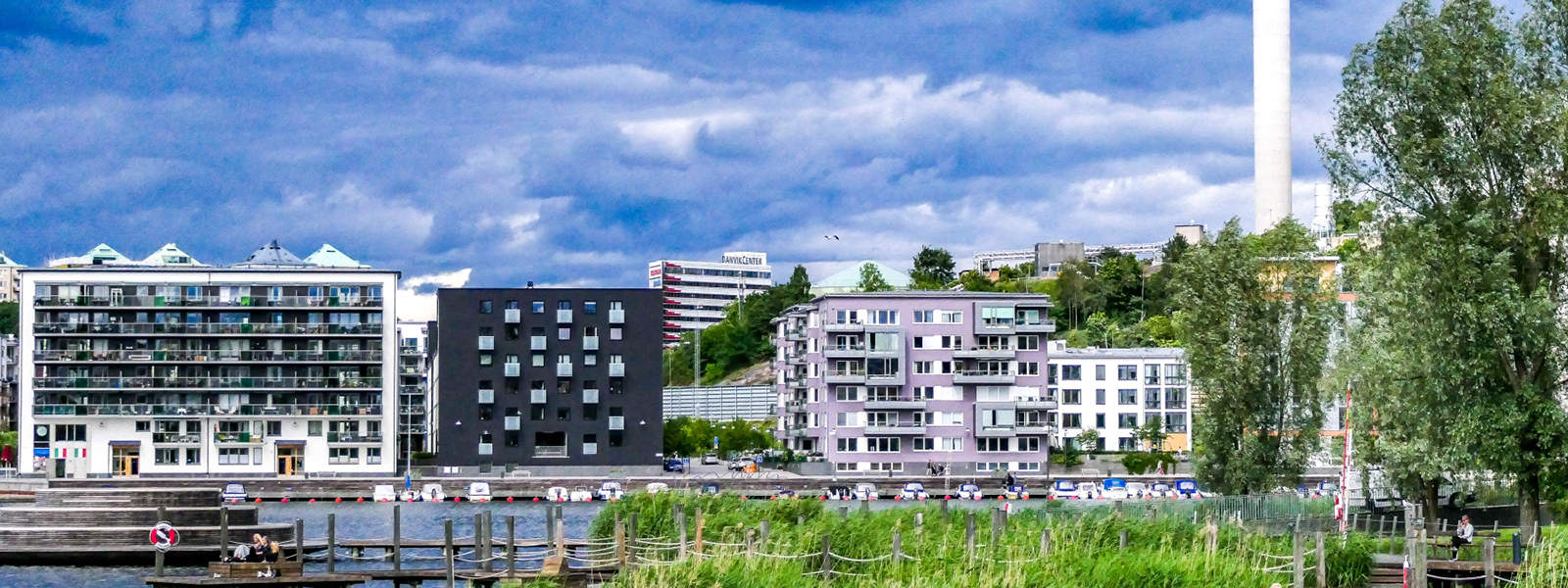 Arborist Hammarby sjöstad
