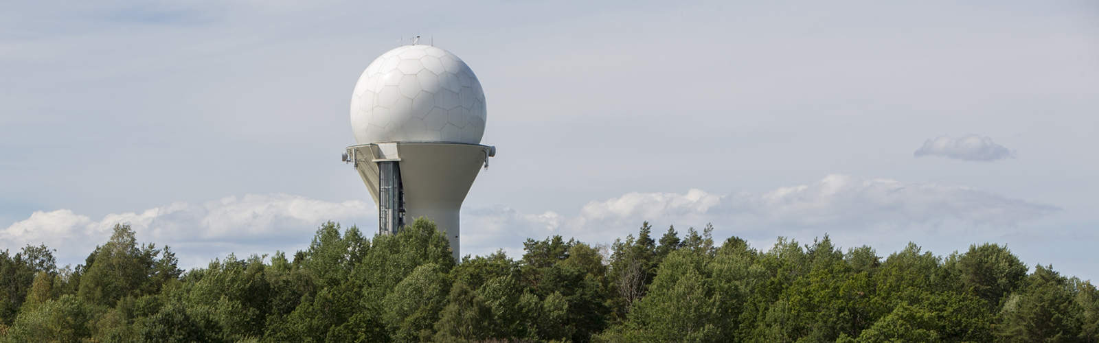 Trädbeskärning Bromma