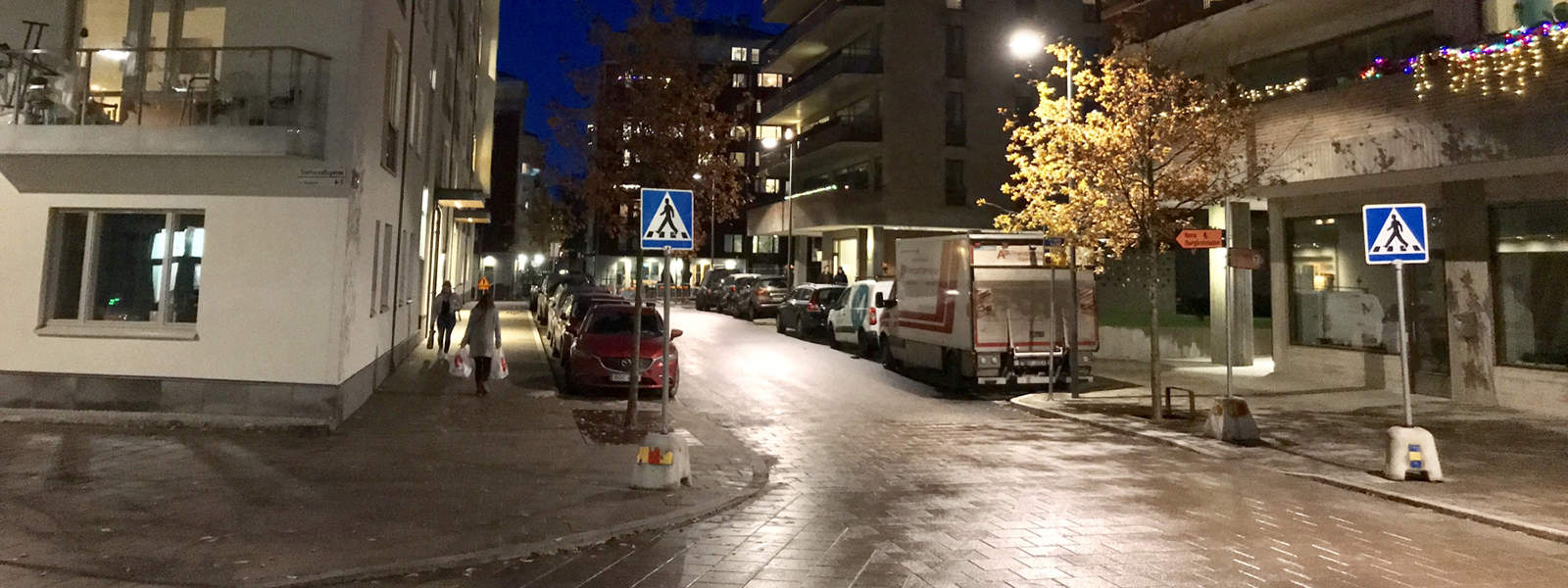 Arborist Norra Djurgårdsstaden,Trädgårdsdesign Norra Djurgårdsstaden