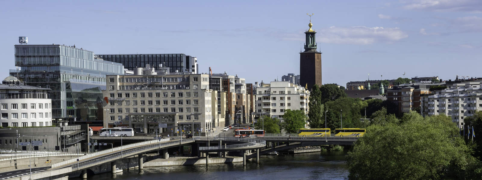 Trädbeskärning Norrmalm i alla miljöer