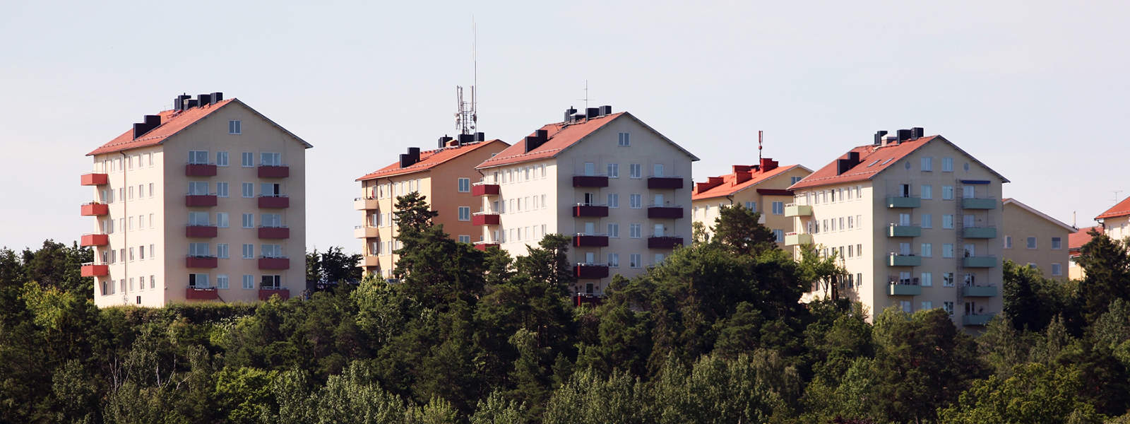 Arborist Hägersten,Trädgårdsmästare Hägersten