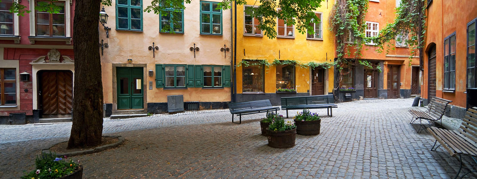 Arborist Gamla Stan,Trädgårdsmästare Gamla Stan