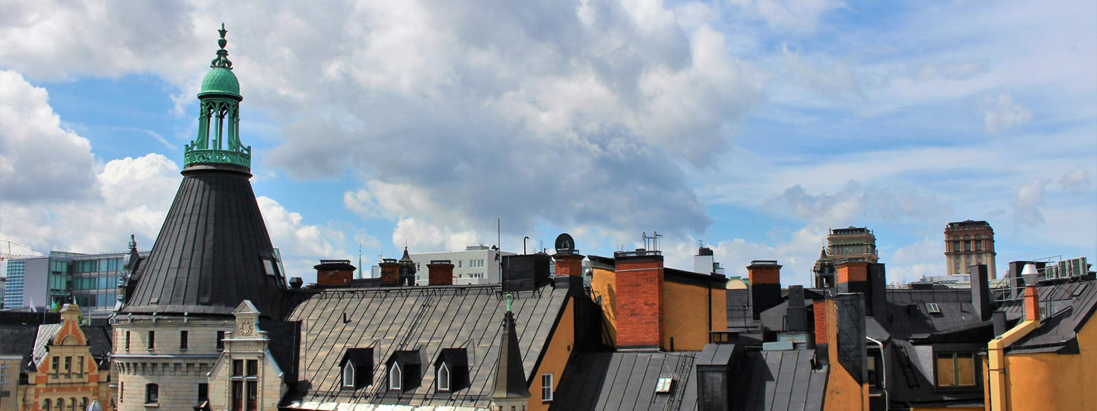 Trädbeskärning Östermalm i alla miljöer