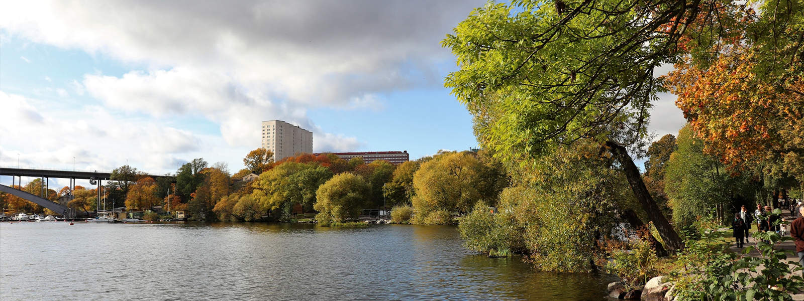 Trädgårdsdesign Kungsholmen, Arborist Kungsholmen,Trädgårdsmästare Kungsholmen